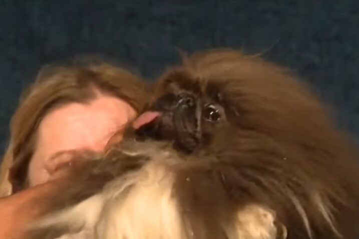 Foto Screenshot YouTube KVTU Fox 2 San Francisco