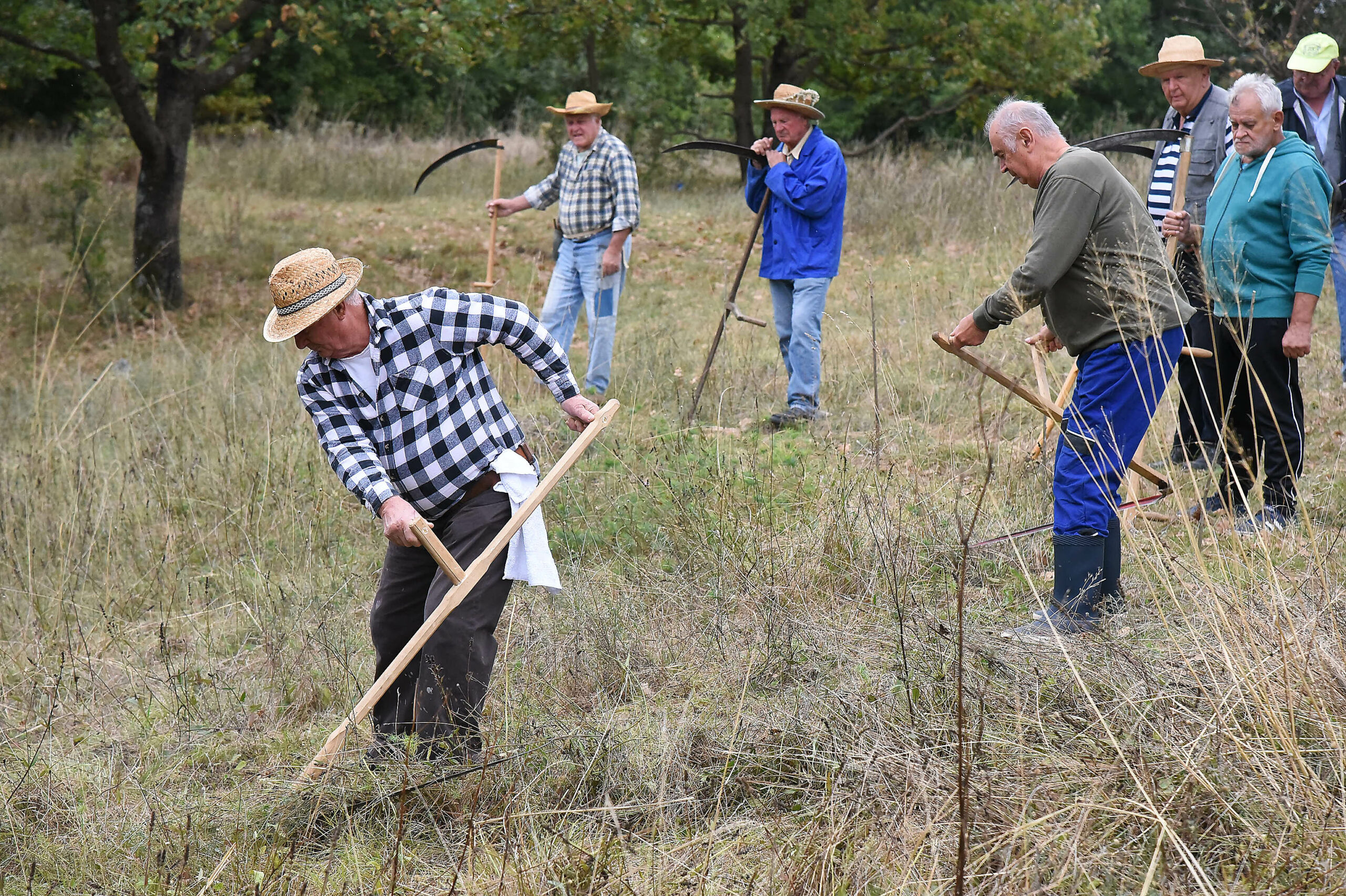 Foto Sergej Drechsler