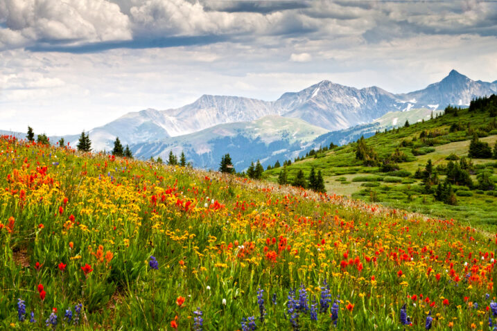Foto: iStock