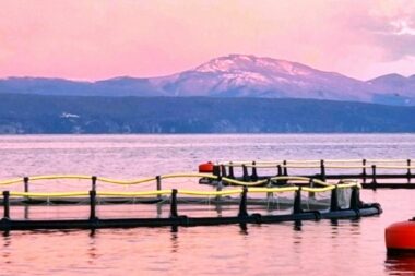 Uzgojni kavezi pored Plavnika / Foto Mladen Trinajstić