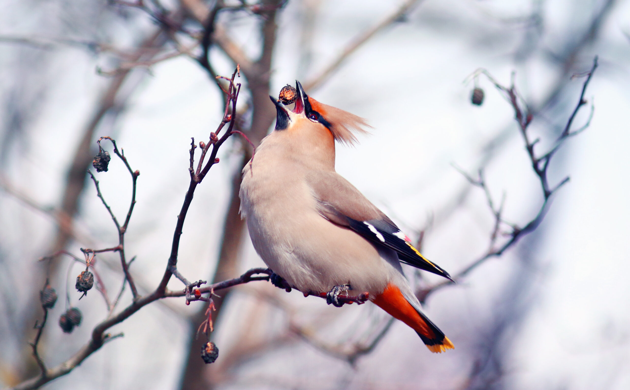 Foto: iStock