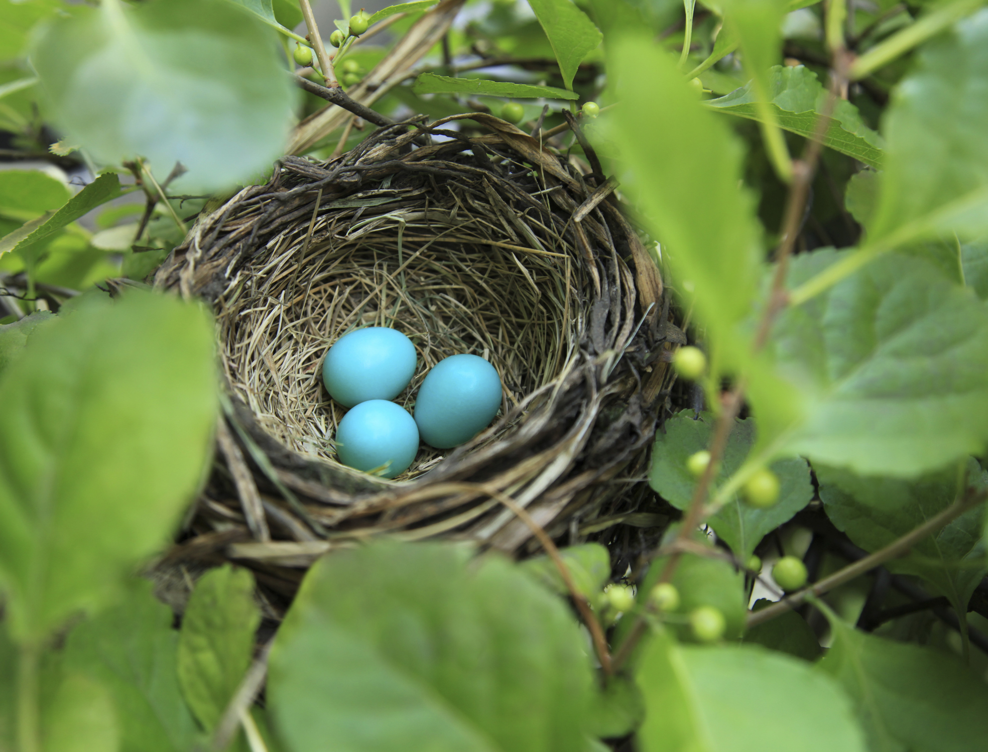 Foto: iStock
