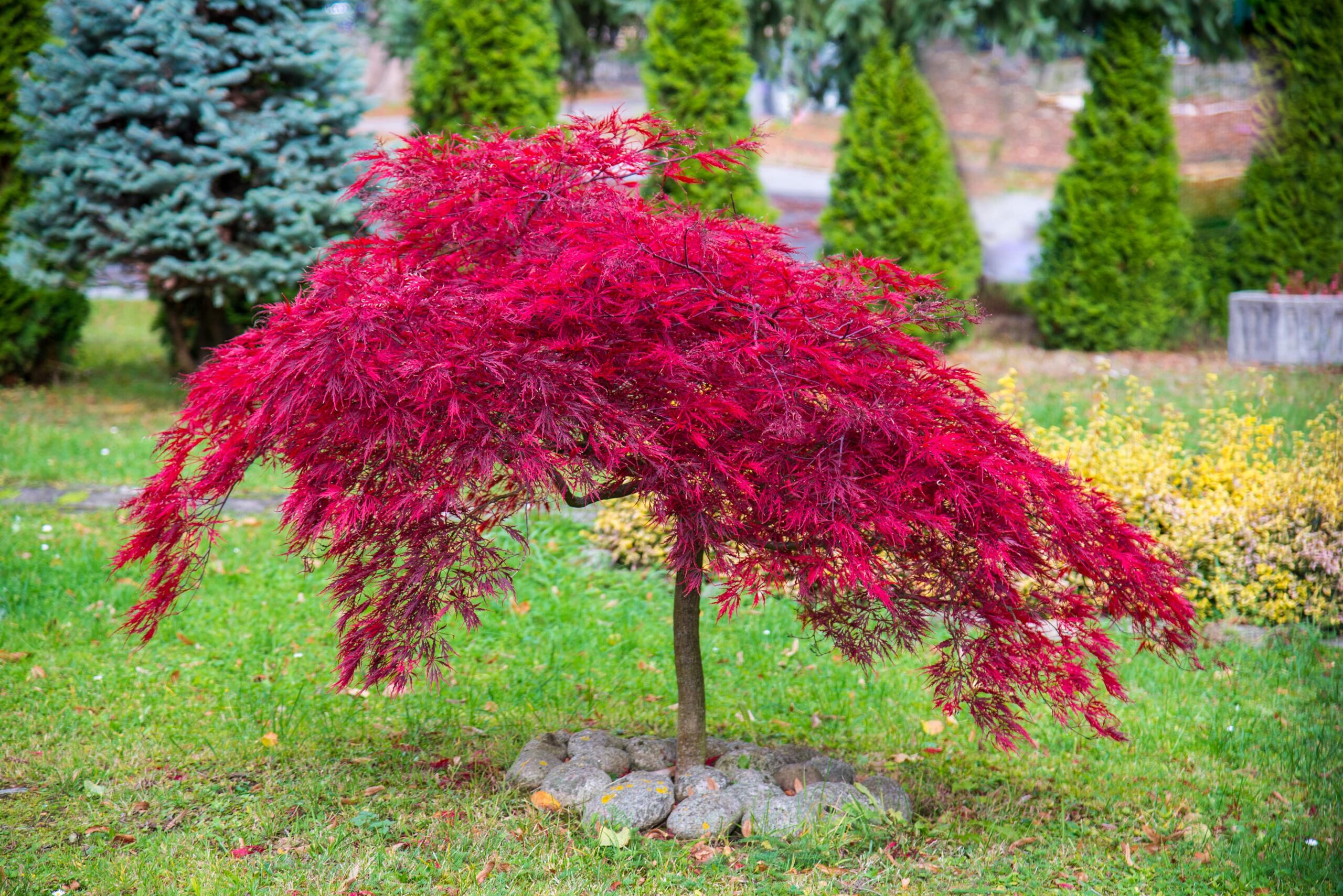 Foto: iStock