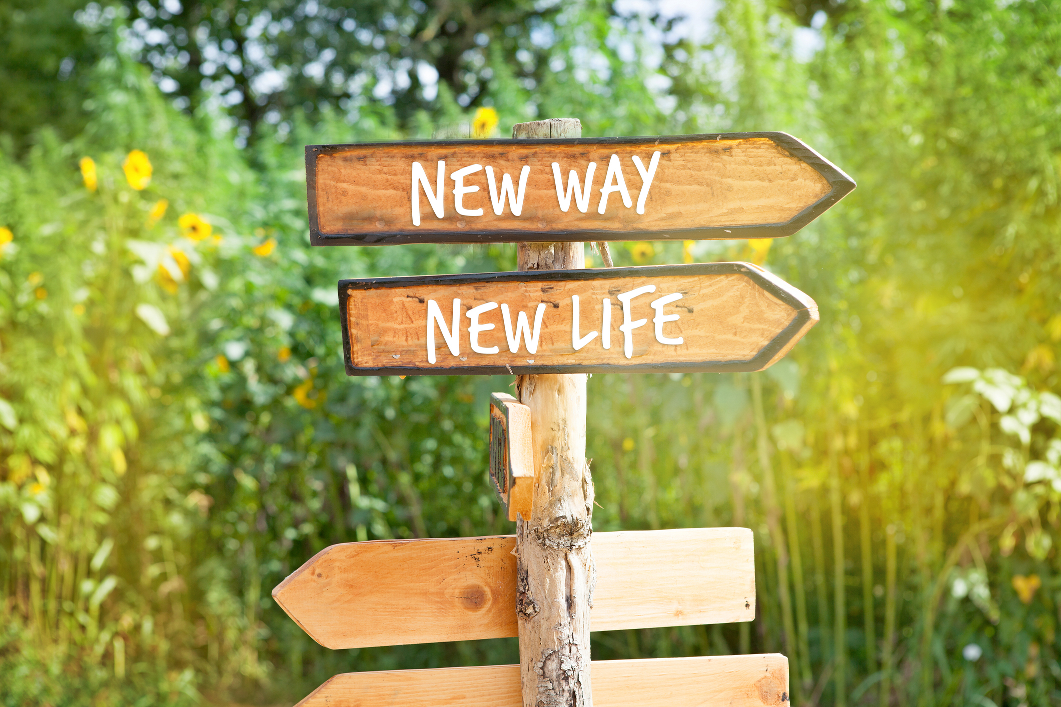 Foto: iStock