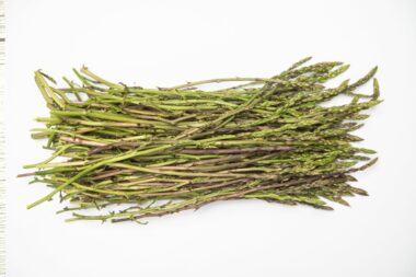 Foto Nikola BLAGOJEVIĆ