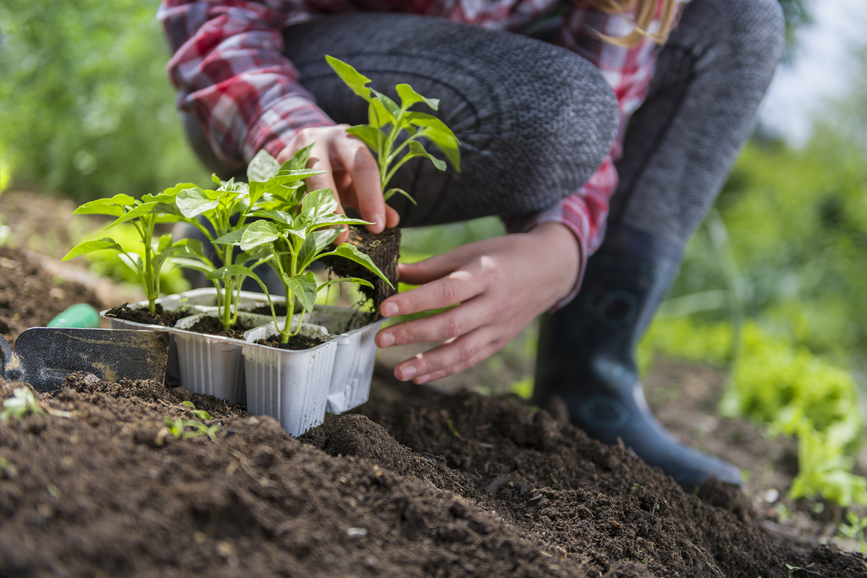 FOTO: iStock