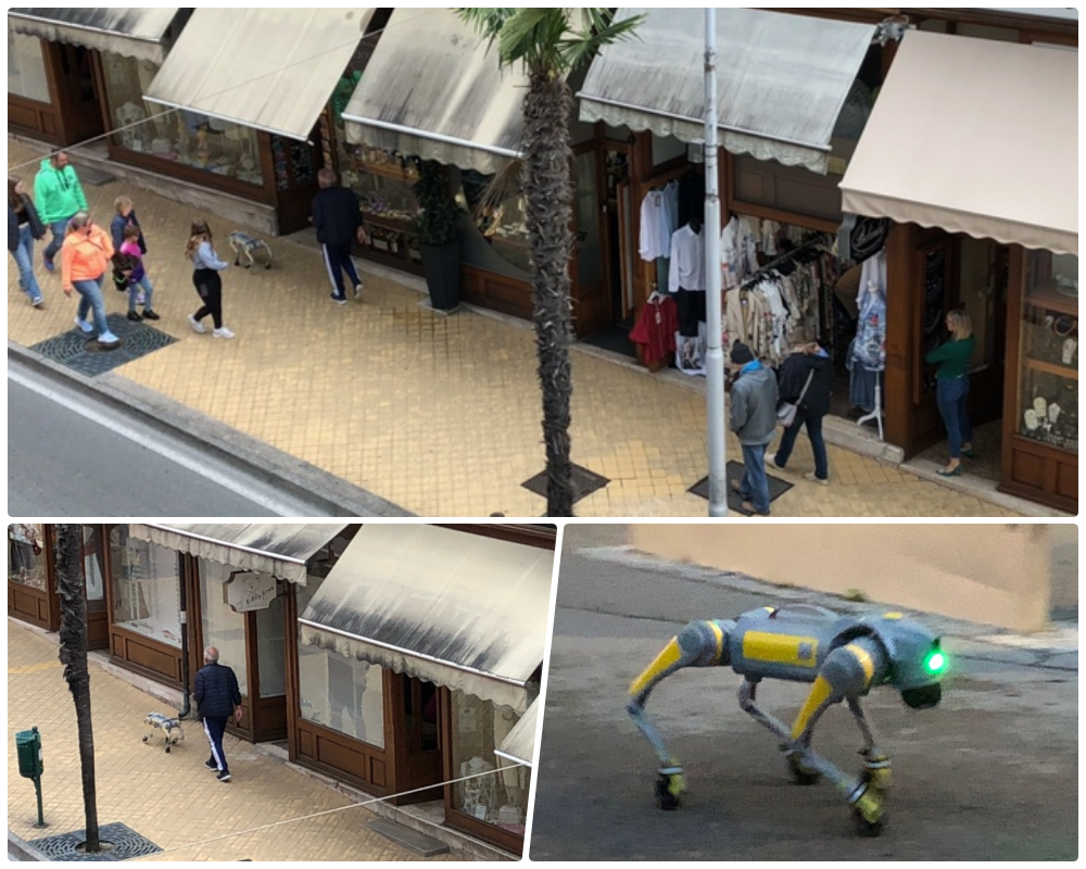 Robot-pas mami poglede znatiželjnika danas u Opatiji / Foto S. A.