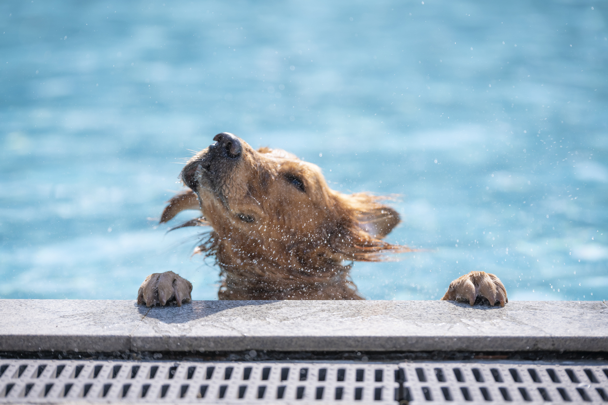 FOTO: iStock
