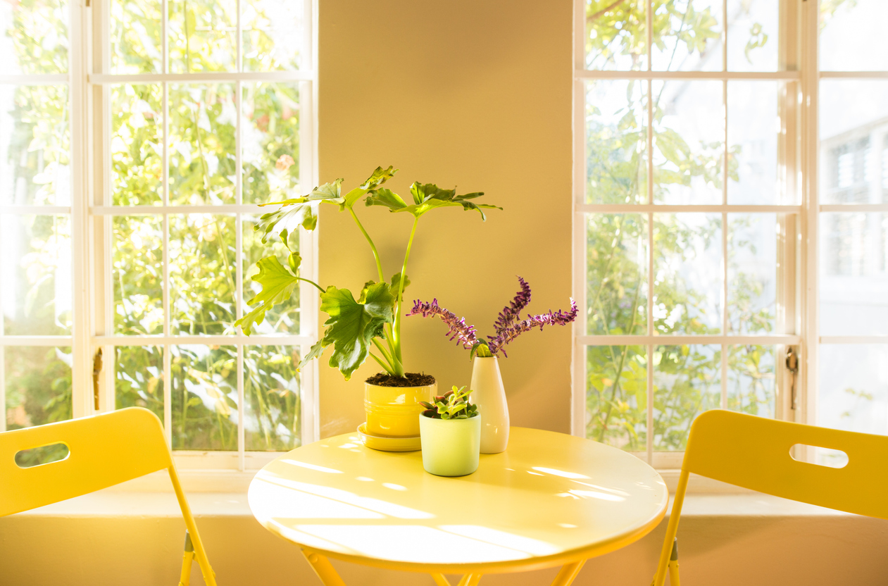 FOTO: iStock