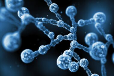 Foto: iStock