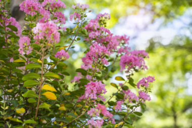 Foto: iStock