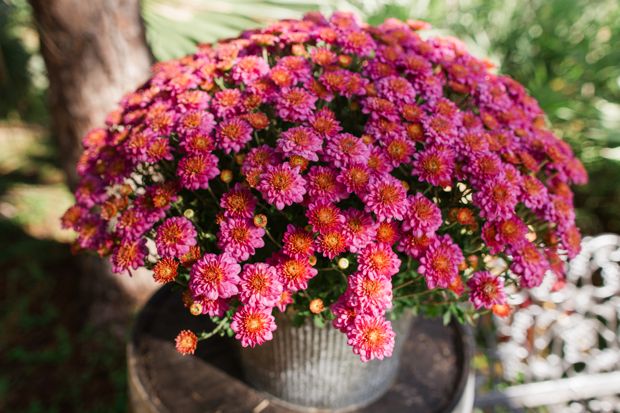 Foto: iStock
