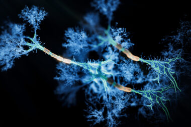 iStock