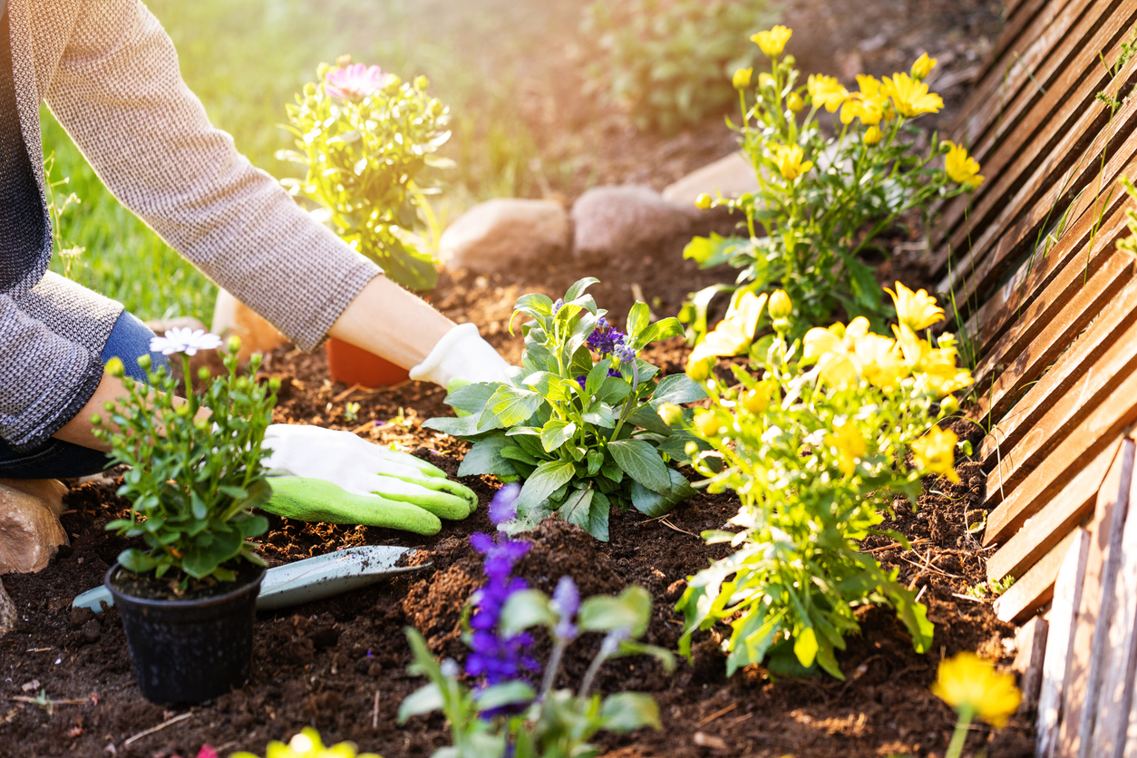 FOTO: iStock