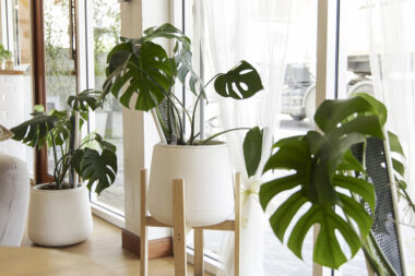 FOTO: iStock