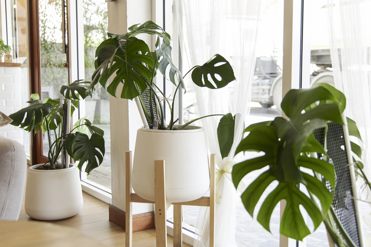 FOTO: iStock