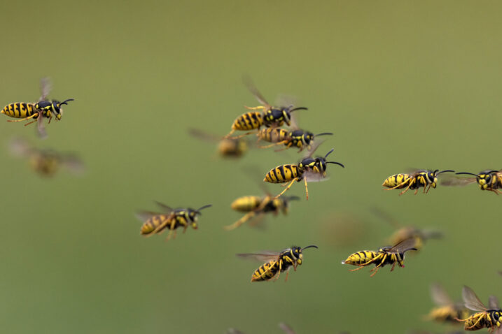FOTO: iStock