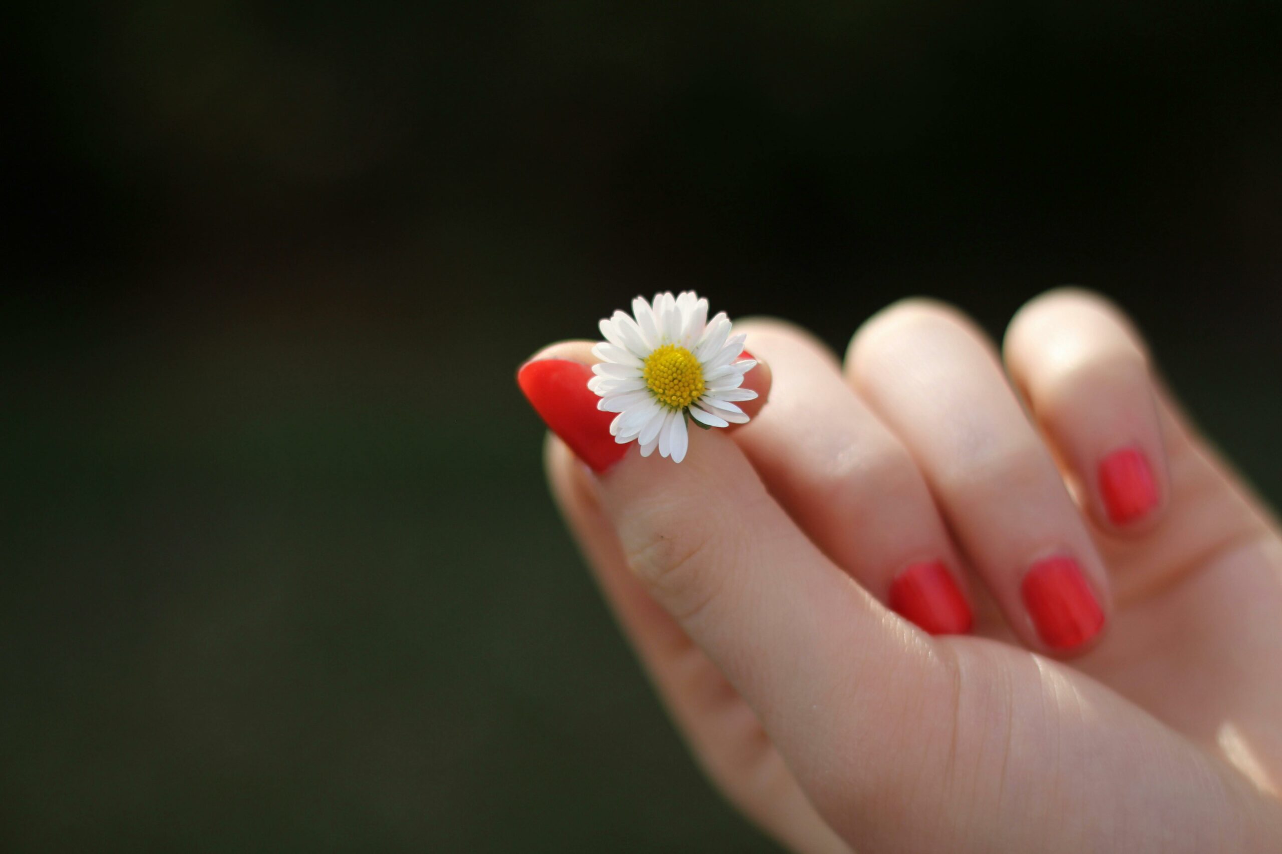 Foto: Pexels