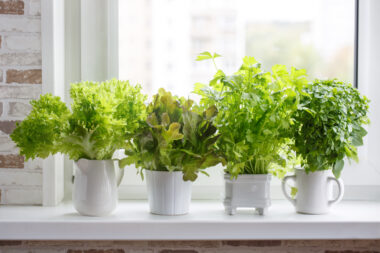 FOTO: iStock