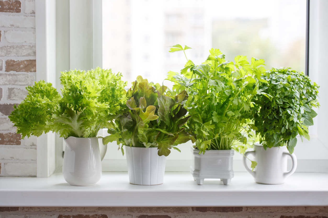 FOTO: iStock