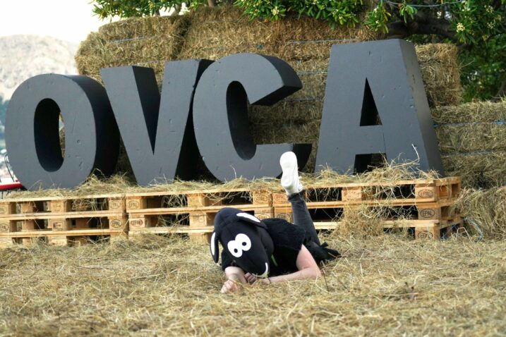 Foto Conex