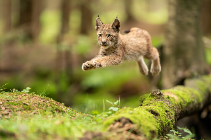 Foto: iStock