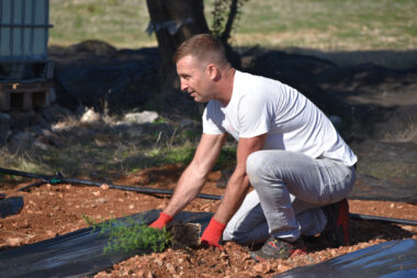 Foto Walter Salković