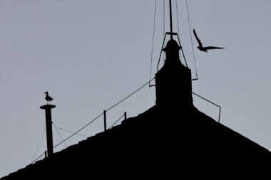 Reuters