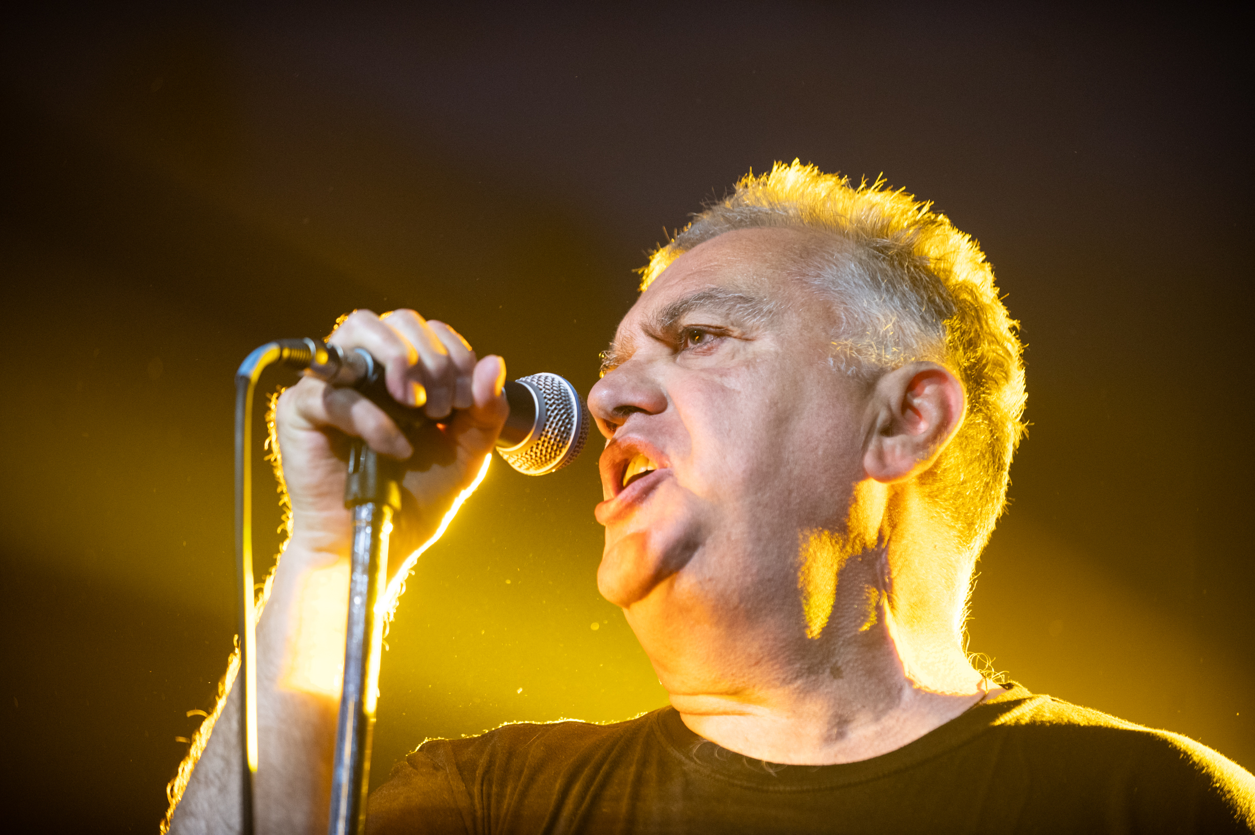 Foto Nikola Blagojević