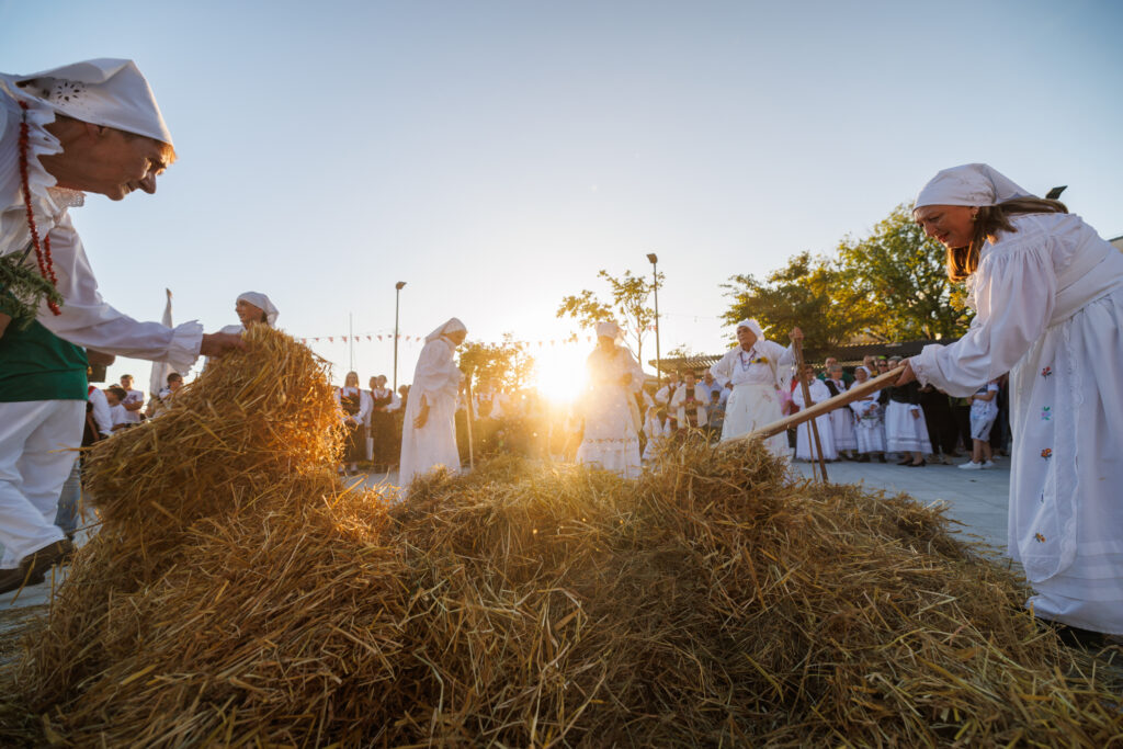 Tradicionalna mlaća slame / Foto: Marino Klement