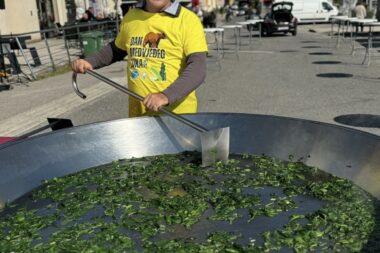 Sprema se fritaja od medvjeđeg luka