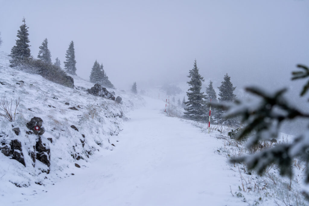23.05.2025., Zavizan - Snijeg pao u Nacionalnom parku Sjeverni Velebit. Temperatura -1 i jak vjetar. Photo: Hrvoje Kostelac/PIXSELL