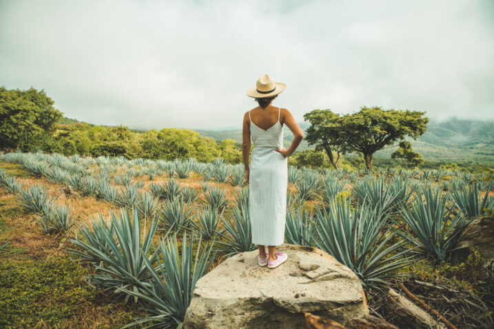 Foto: iStock