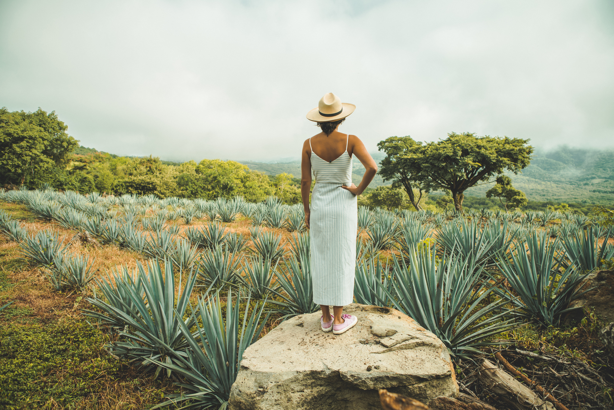 Foto: iStock