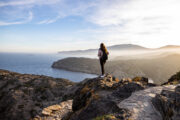 iStock