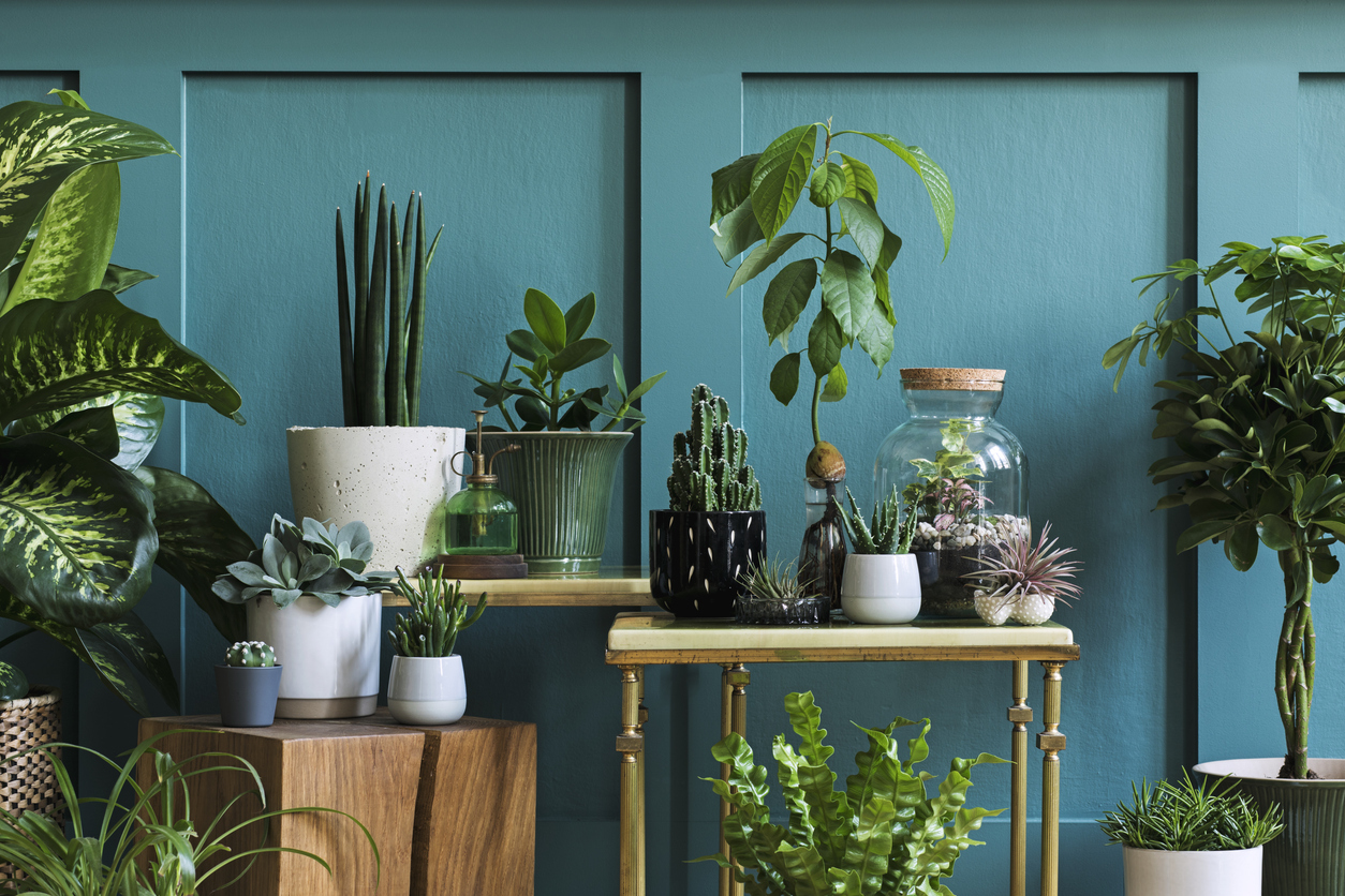 FOTO: iStock