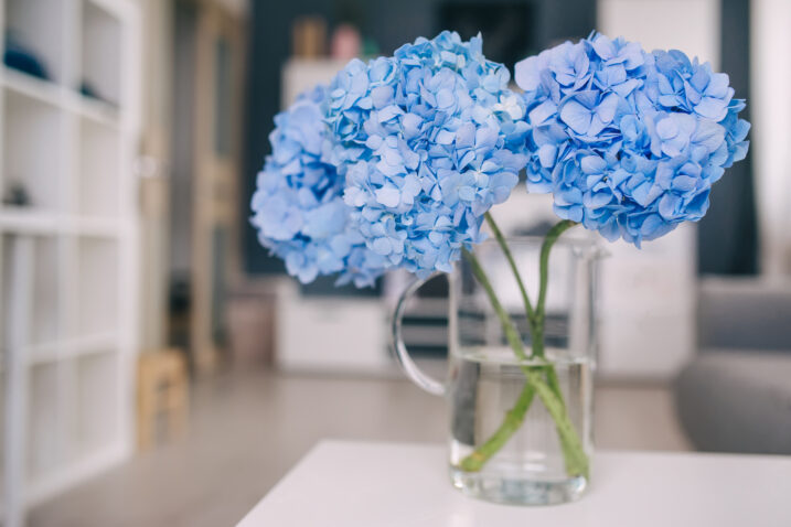Foto: iStock