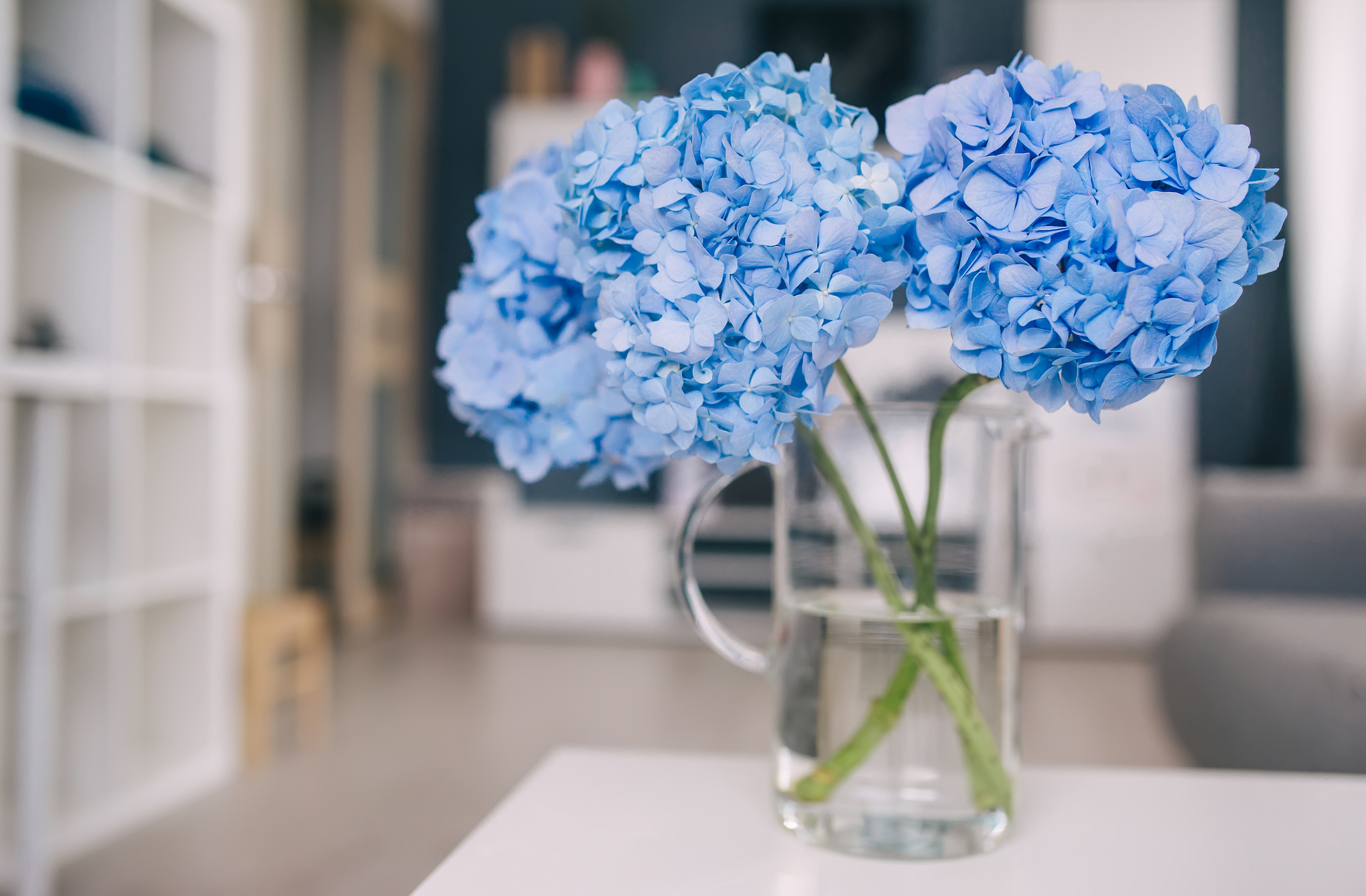 Foto: iStock