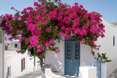 Foto: iStock