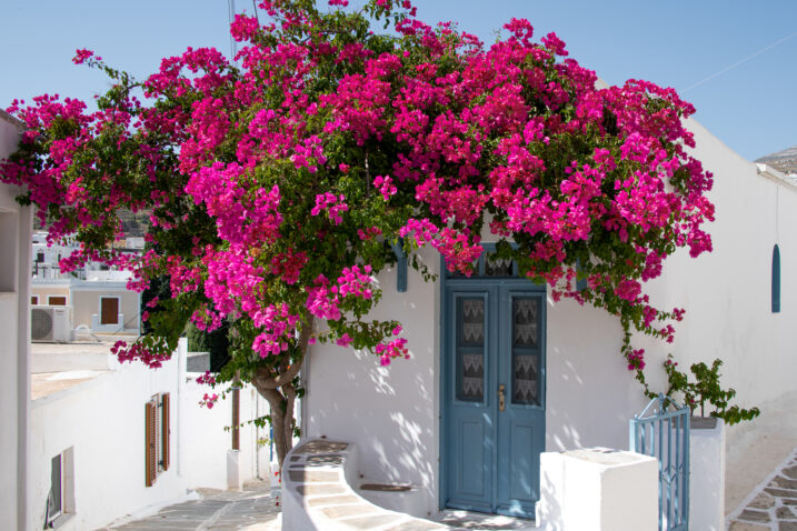 Foto: iStock