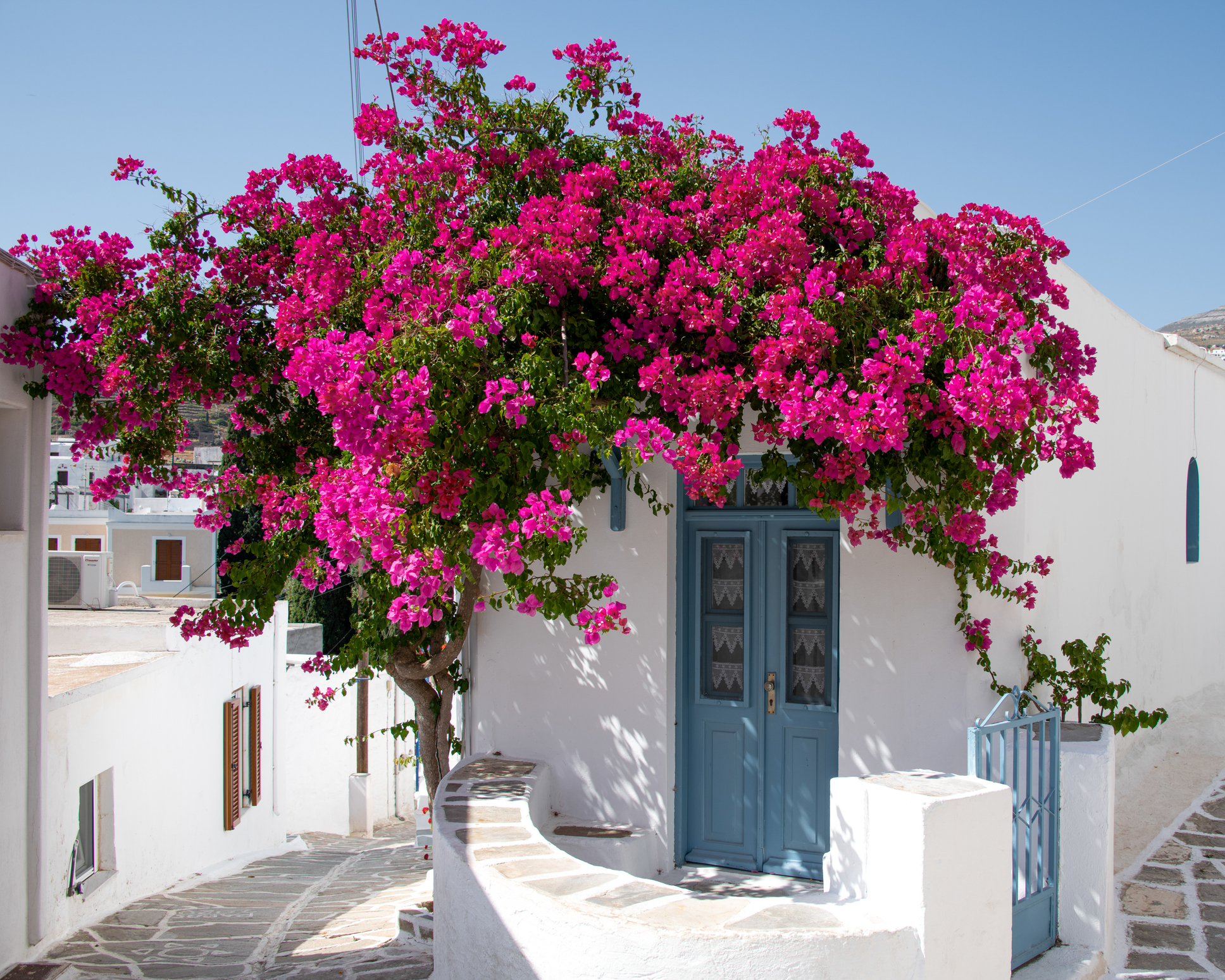 Foto: iStock