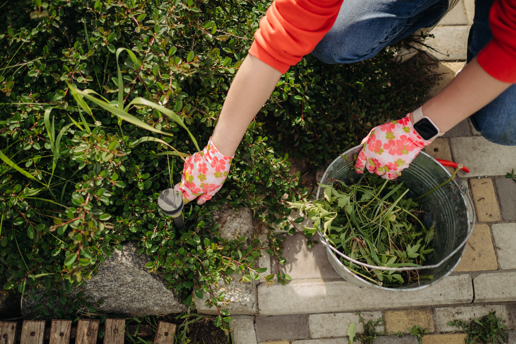Foto: iStock