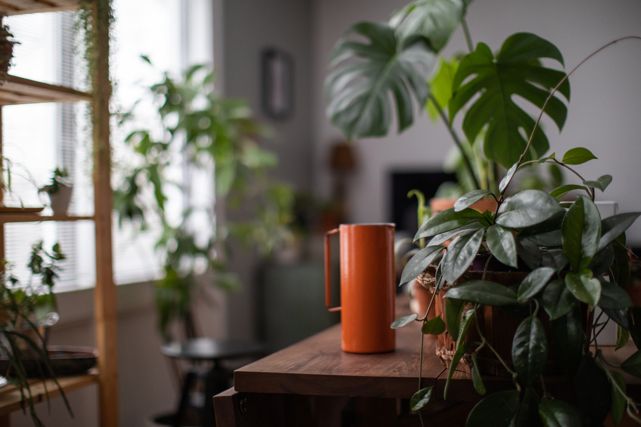 FOTO: iStock