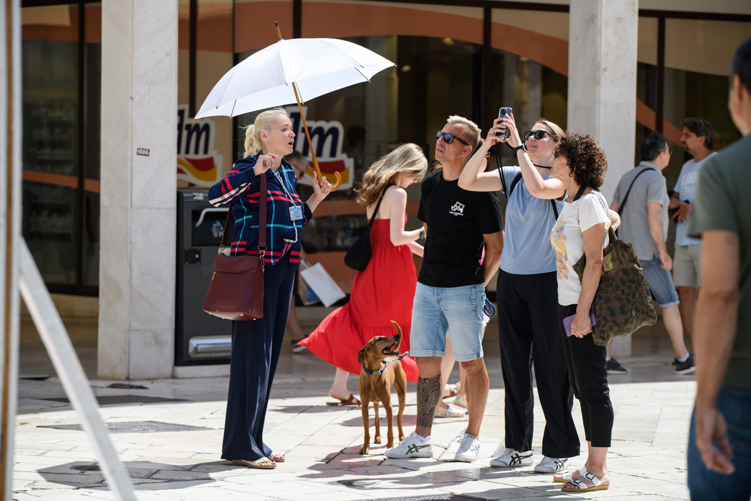 Turistički vodiči poručuju da najavljene izmjene ugrožavaju njihovu profesiju u Hrvatskoj i prijete egzistenciji brojnih građana / Foto L. JELIČIĆ