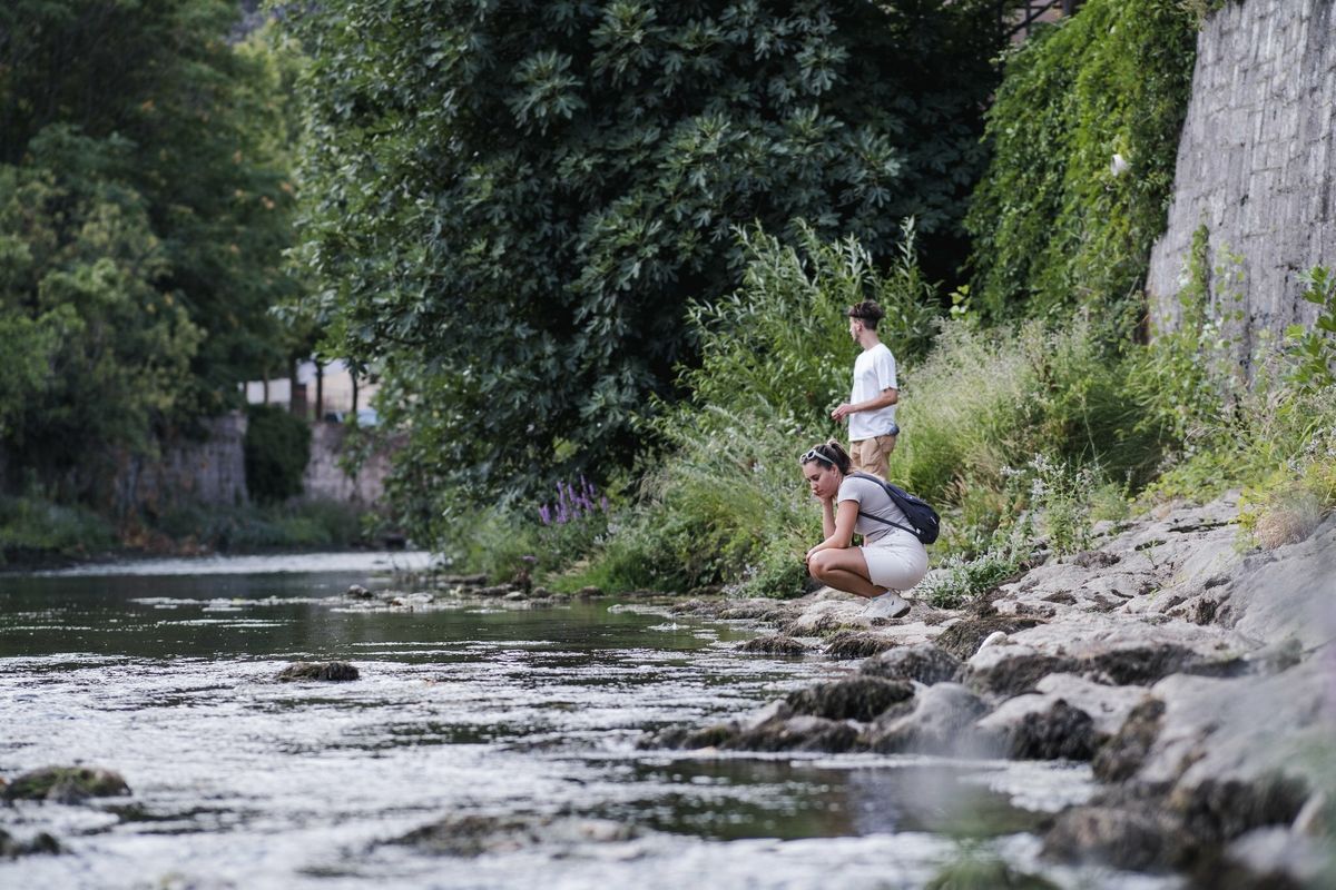 Foto MARINKI