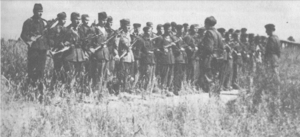 Jedanaesta dalmatinska udarna brigada na Plišu, 29. travnja 1945.