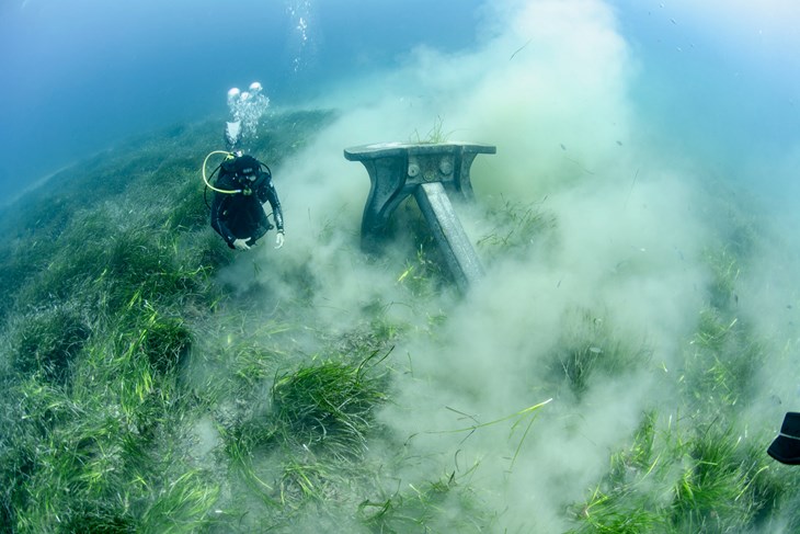 Foto Manu San Félix/WWF