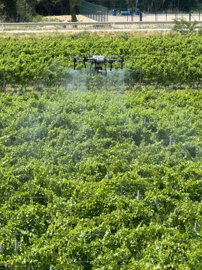 dron, poljoprivreda, vinograd Pavlomir / Foto Kvarner Wines