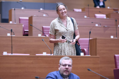 Urša Raukar / Saborska sjednica o broju birača