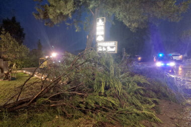 Ilustracija / Pixsell